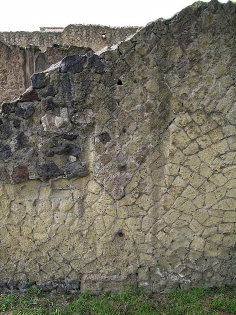 V.33, Herculaneum. May 2005. Garden area, west wall. Photo courtesy of Nicolas Monteix.